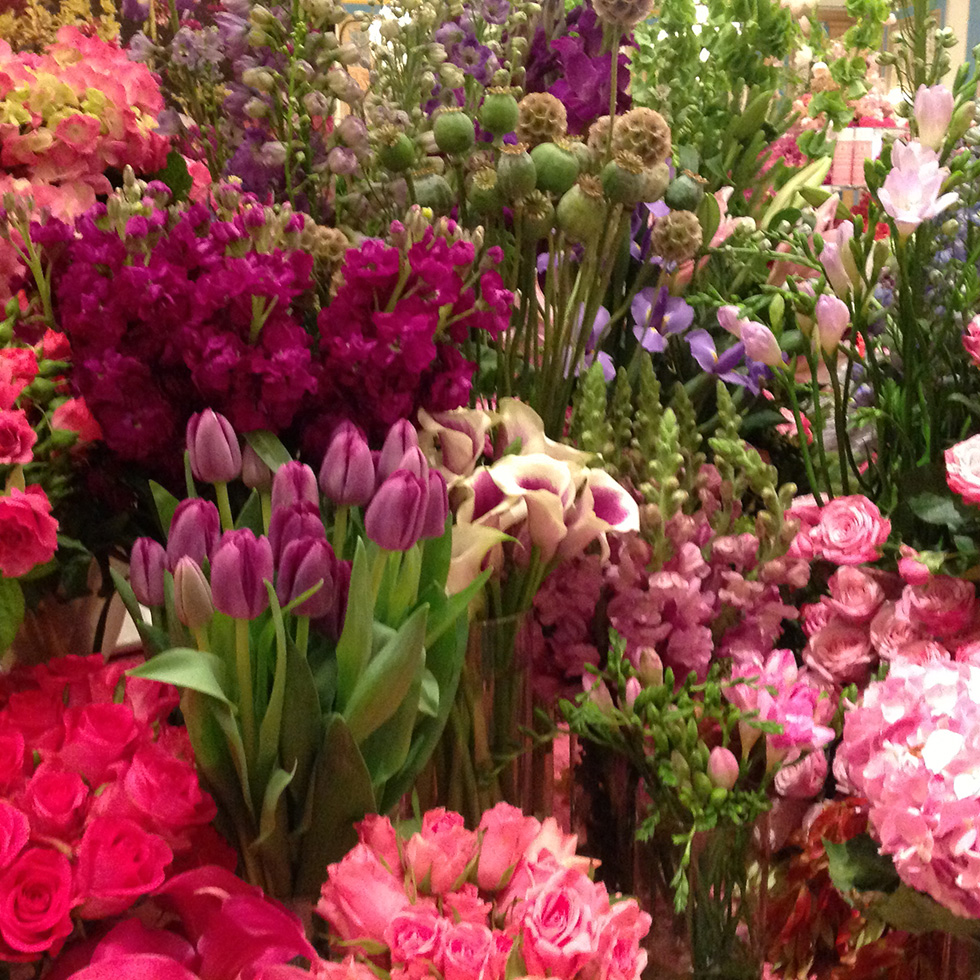 Best of Flowers Gallery